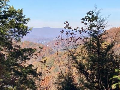 Elkins Valley Road Heiskell, TN 37754 - Photo 5 of 26 thumbnail (6)