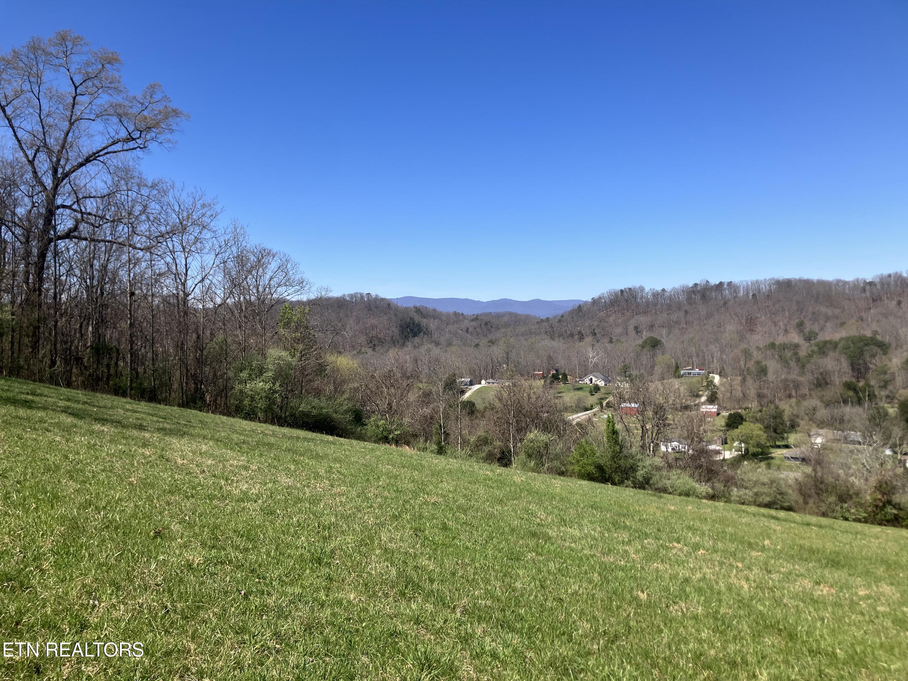 Elkins Valley Road Heiskell, TN 37754 - Photo 7 of 26 IMG_5880