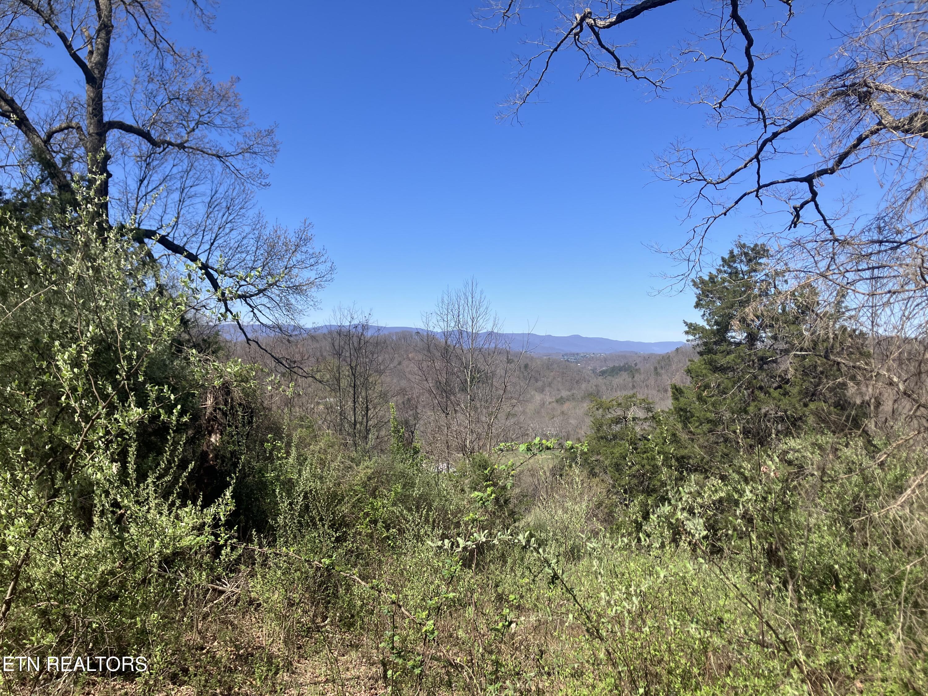 Elkins Valley Road Heiskell, TN 37754 - Photo 8 of 26 IMG_5878