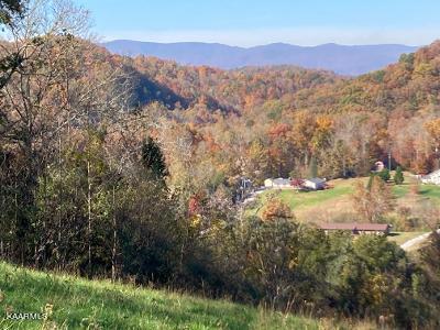 Elkins Valley Road Heiskell, TN 37754 - Photo 10 of 26 thumbnail (18)