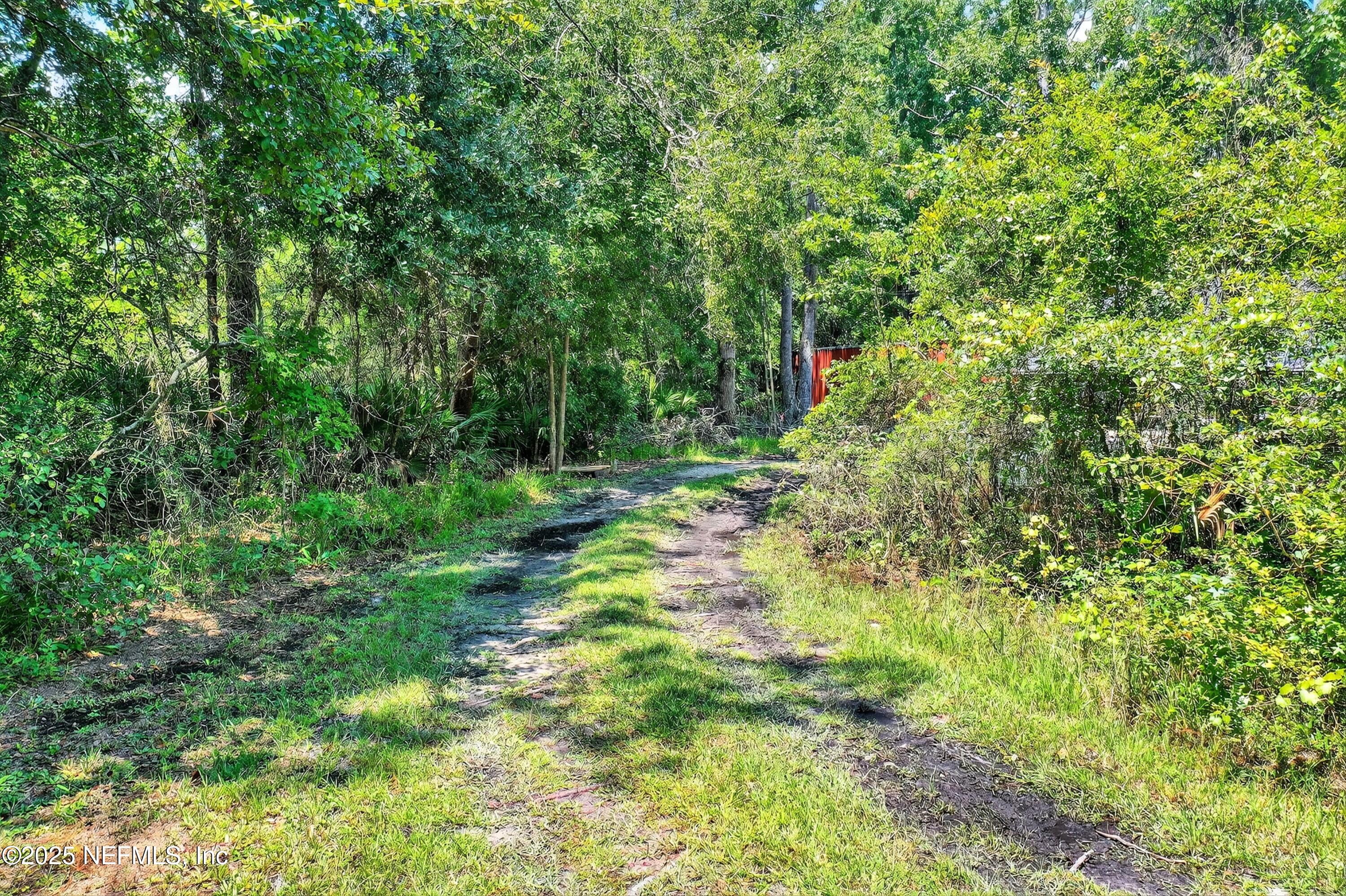 2561 Starratt Road Jacksonville, FL 32218 - Photo 18 of 20 a view of forest