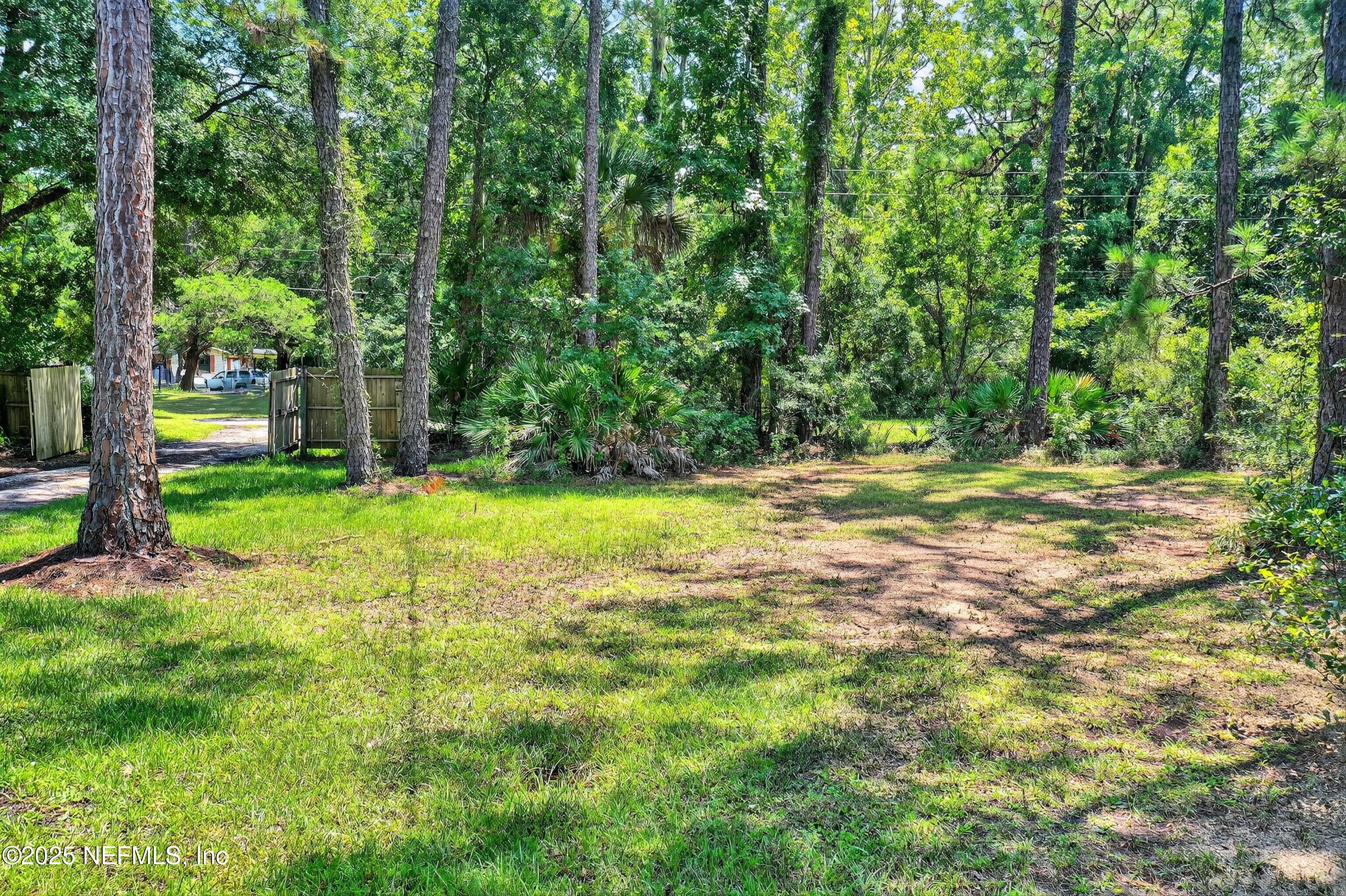 2561 Starratt Road Jacksonville, FL 32218 - Photo 19 of 20 a view of a yard with a tree