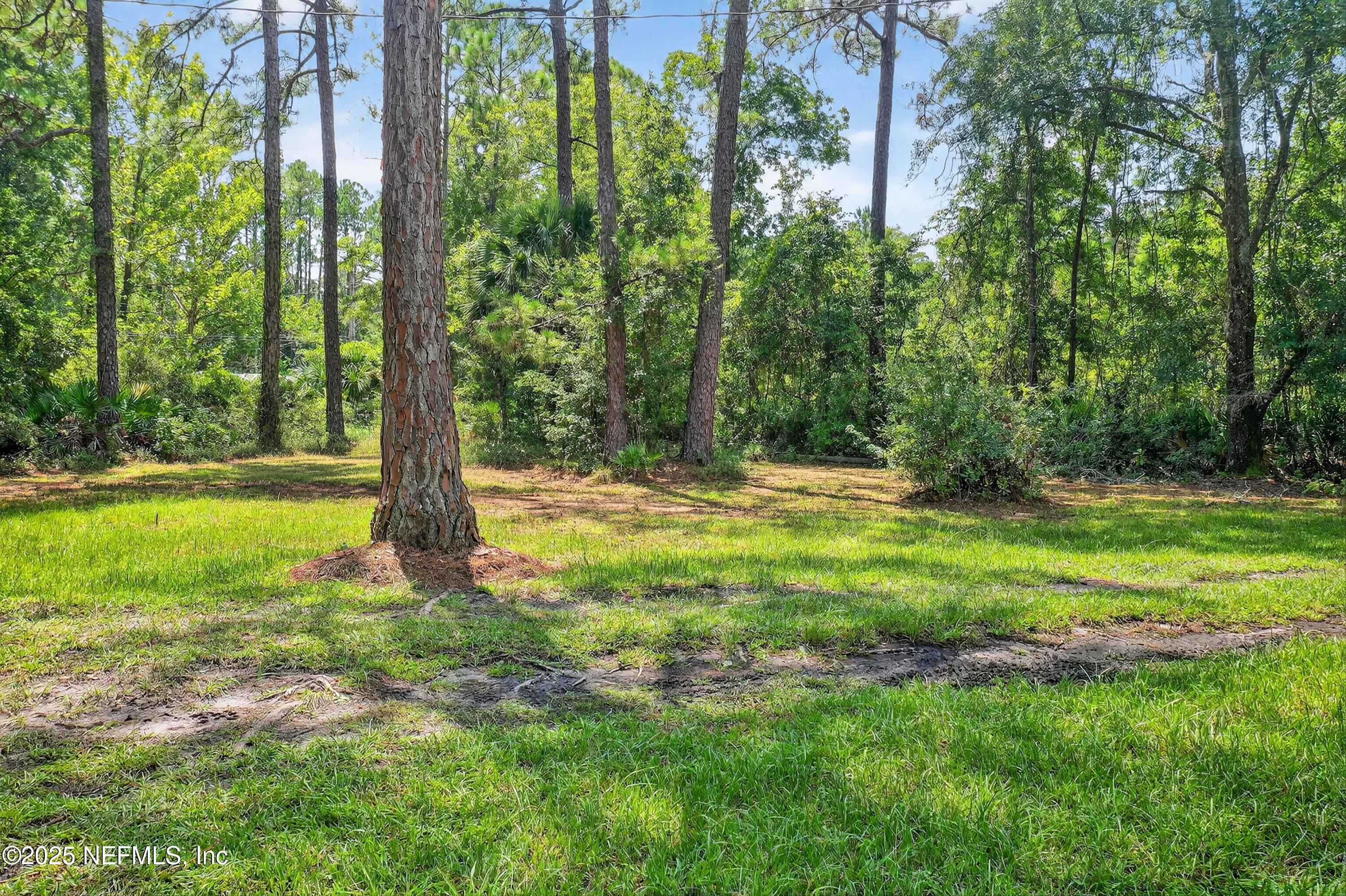 2561 Starratt Road Jacksonville, FL 32218 - Photo 20 of 20 a view of outdoor space with a garden and trees