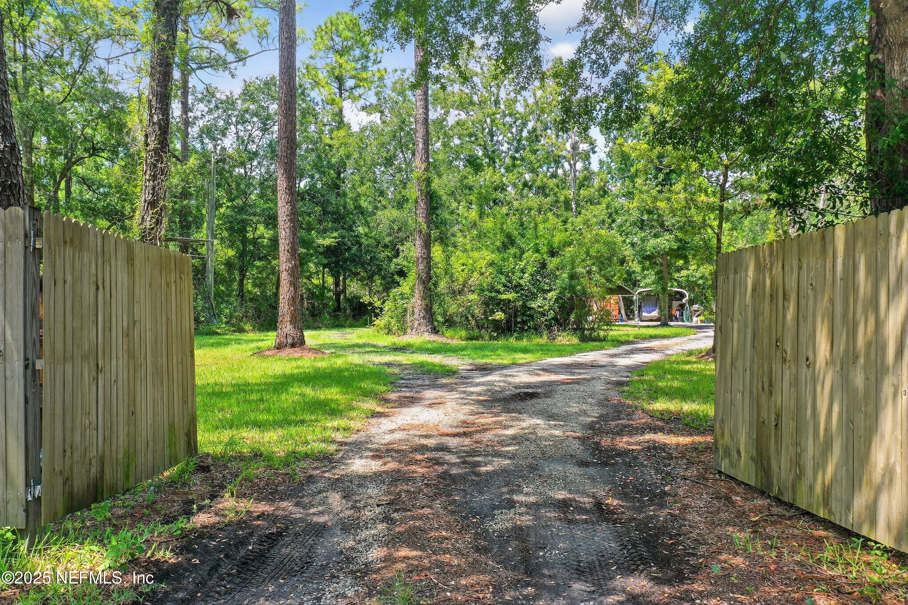 2561 Starratt Road Jacksonville, FL 32218 - Photo 5 of 20 a view of a yard with plants and large trees