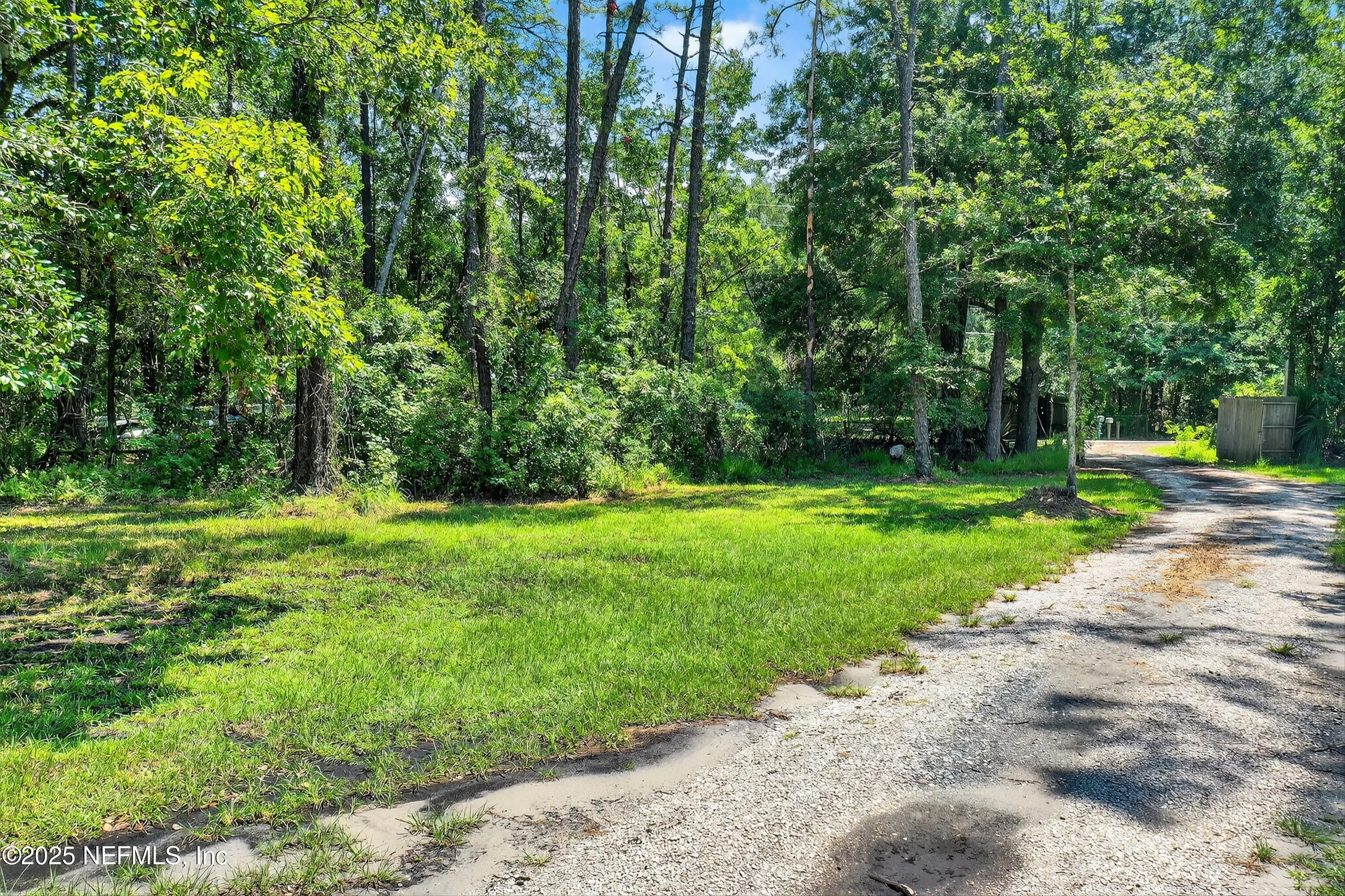 2561 Starratt Road Jacksonville, FL 32218 - Photo 7 of 20 a view of a park with large trees