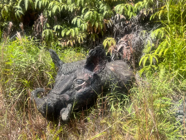 $445,000 | 11-3234 Volcano Road, Volcano, HI 96785