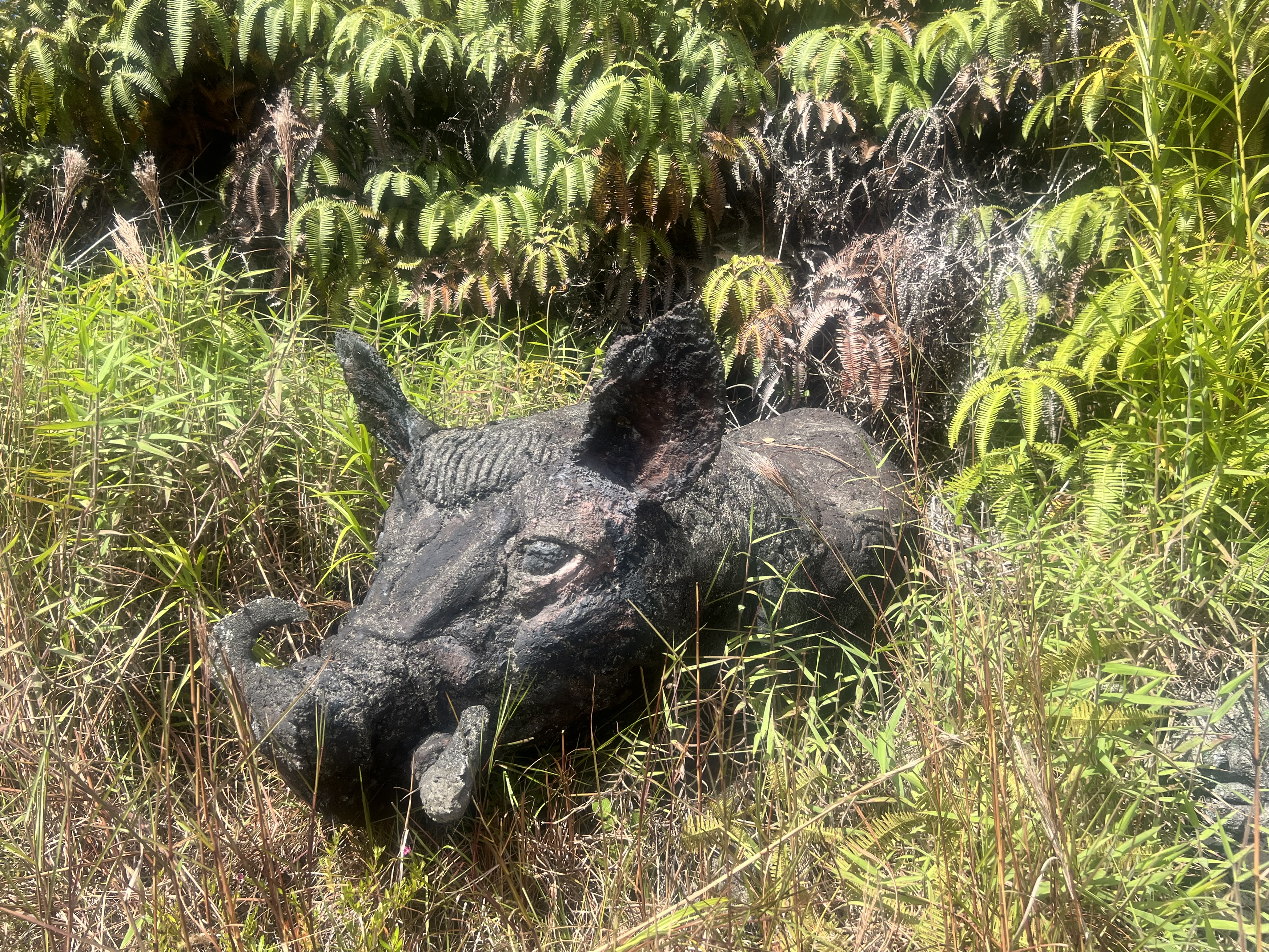11-3234 Volcano Road Volcano, HI 96785 - Photo 7 of 23 a close up of a plant in a garden