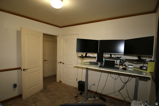1612 East 450 South Springville, UT 84663 - Photo 31 of 48 Room with neutral wall paint and carpeting, featuring a single flush-mount ceiling light fixture, wood trim, and two paneled doors