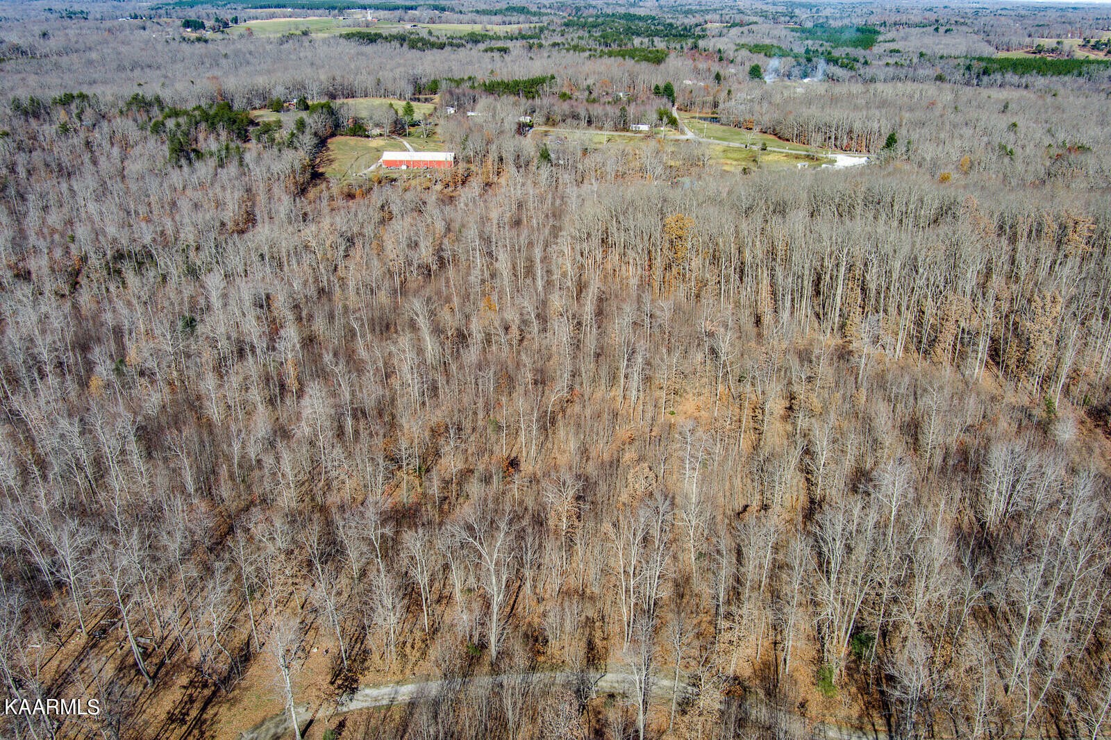 550 Turkey Blind Road Crossville, TN 38572 - Photo 36 of 45 Gallery Image 36