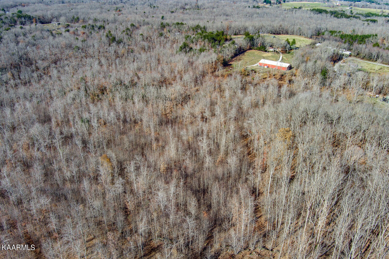 550 Turkey Blind Road Crossville, TN 38572 - Photo 38 of 45 Gallery Image 38