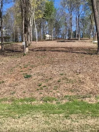 $37,500 | 6 Piney View Drive, Spring City, TN 37381