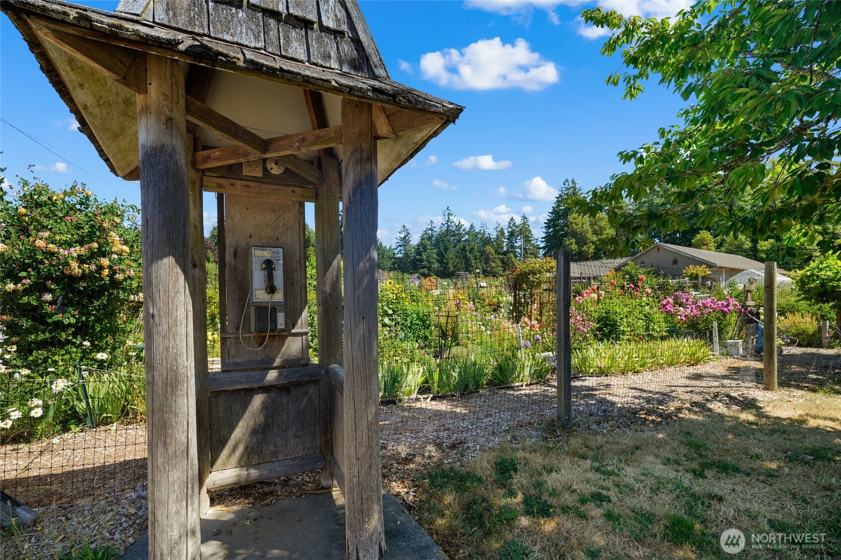 9606 Otso Point Road Anderson Island, WA 98303 - Photo 11 of 25 a view of a house with backyard and trees