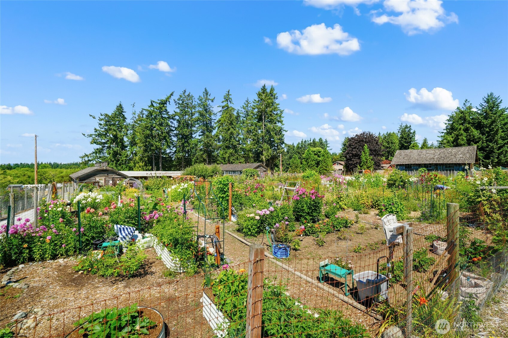 9606 Otso Point Road Anderson Island, WA 98303 - Photo 13 of 25 a night view of a flower in a yard