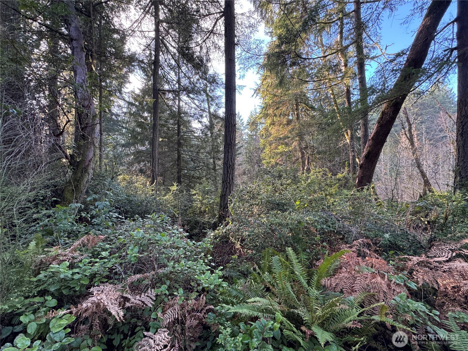 9606 Otso Point Road Anderson Island, WA 98303 - Photo 4 of 25 a view of a city with lots of bushes