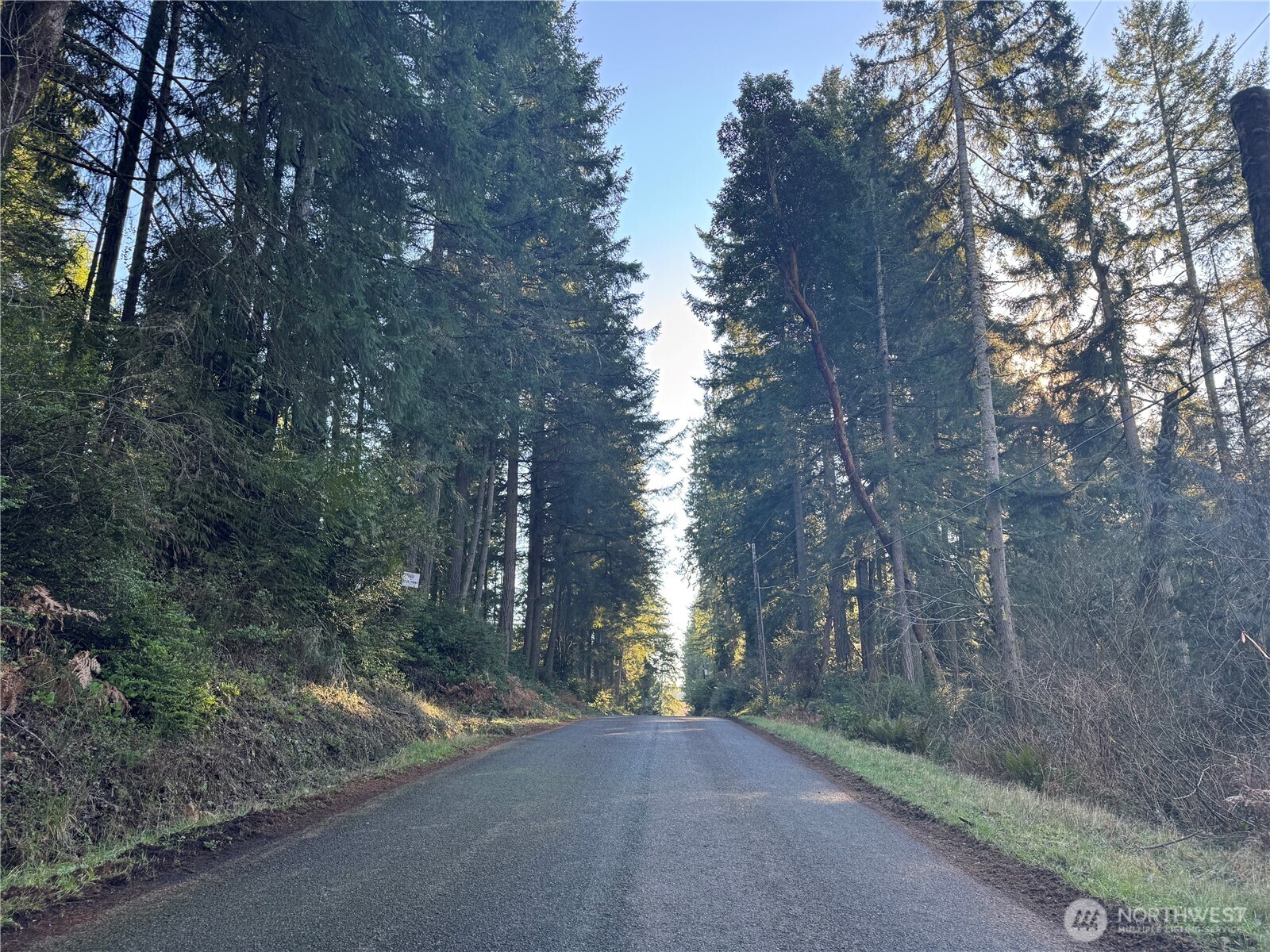 9606 Otso Point Road Anderson Island, WA 98303 - Photo 6 of 25 a view of a road with trees in the background
