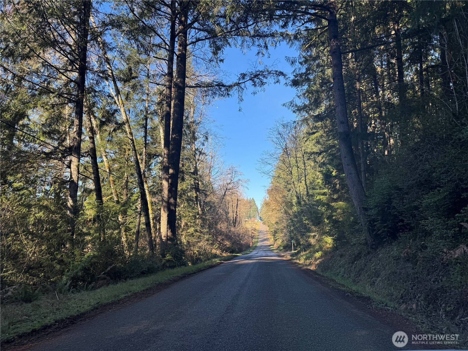 9606 Otso Point Road Anderson Island, WA 98303 - Photo 7 of 25 a view of a yard