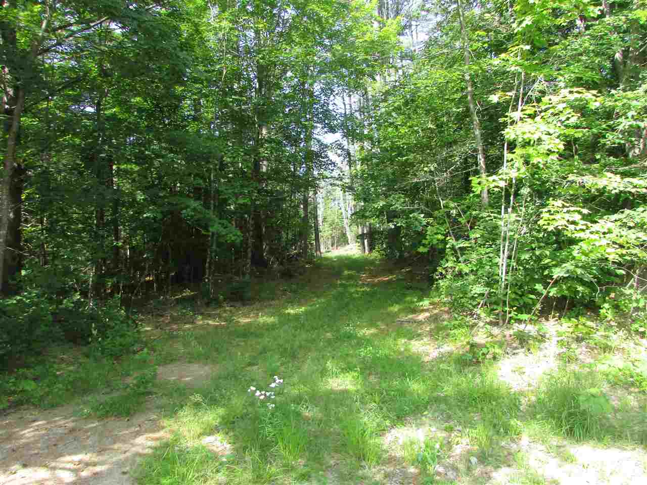 122 Sodom Road Tuftonboro, NH 03816 - Photo 1 of 32 Gallery Image 1