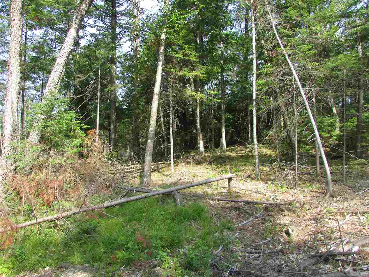 122 Sodom Road Tuftonboro, NH 03816 - Photo 14 of 32 Gallery Image 14