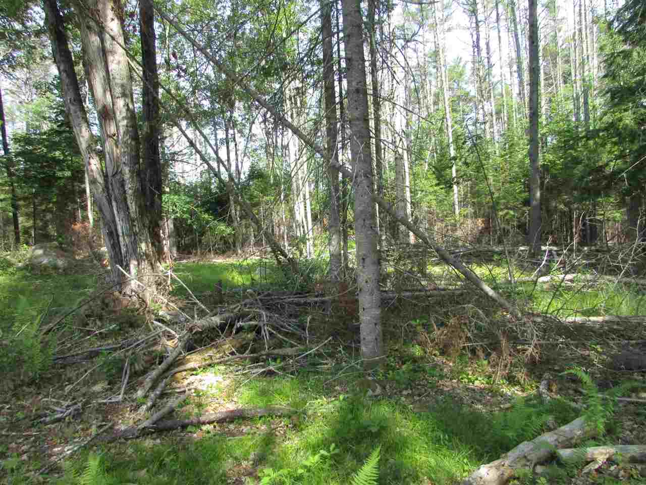 122 Sodom Road Tuftonboro, NH 03816 - Photo 21 of 32 Gallery Image 21