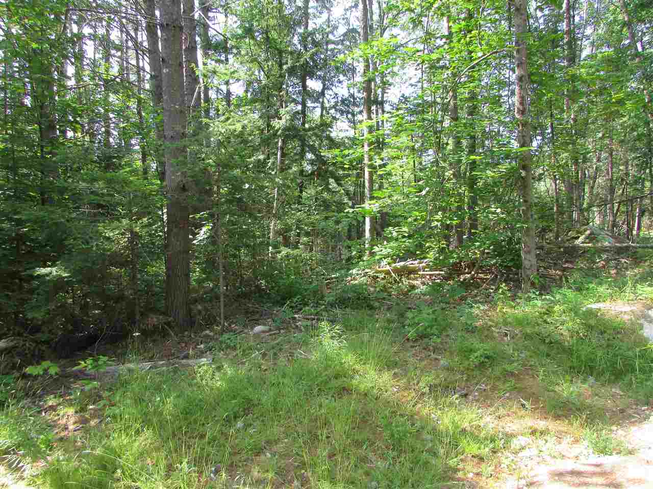 122 Sodom Road Tuftonboro, NH 03816 - Photo 26 of 32 Gallery Image 26
