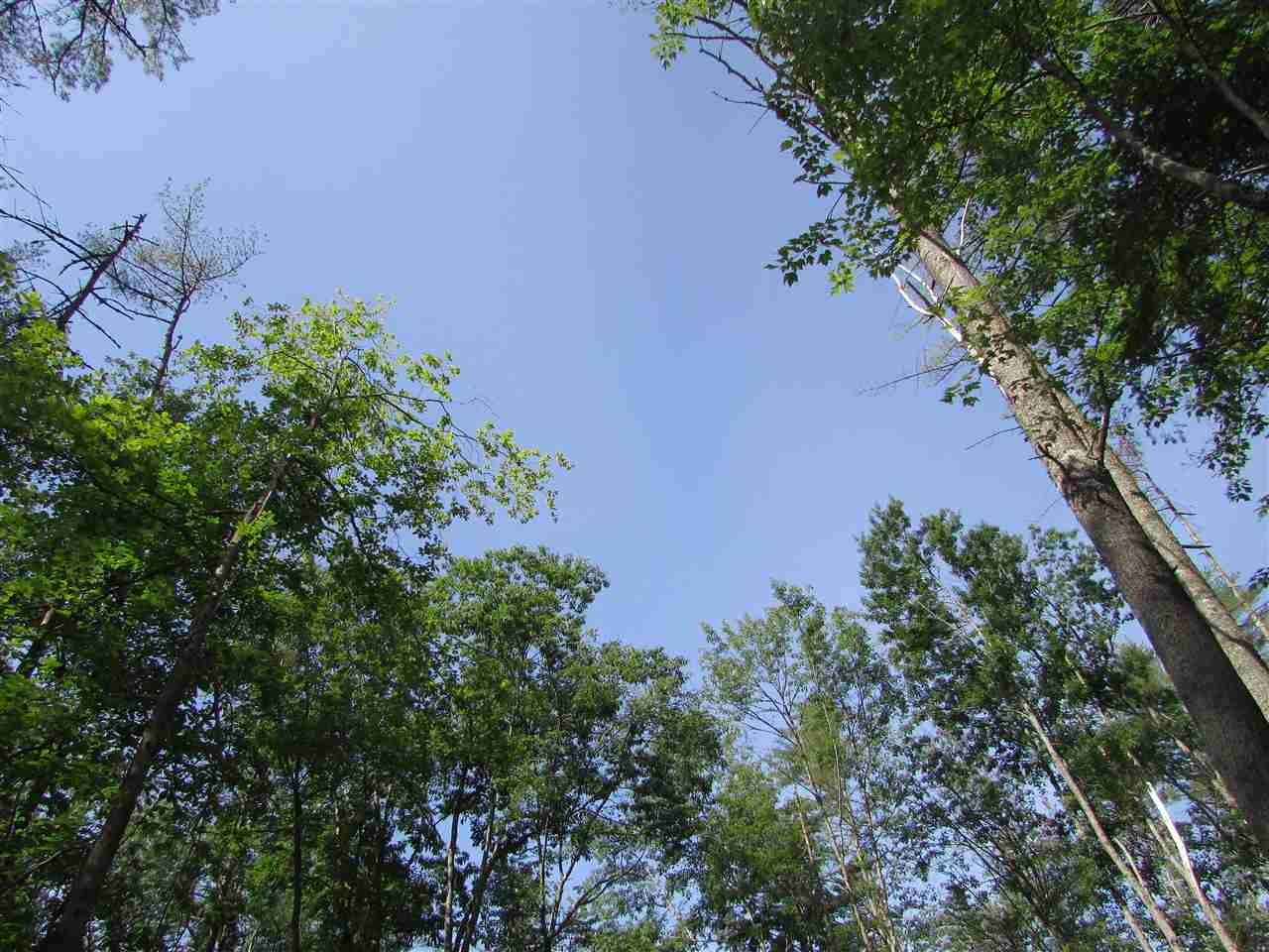 122 Sodom Road Tuftonboro, NH 03816 - Photo 29 of 32 Gallery Image 29