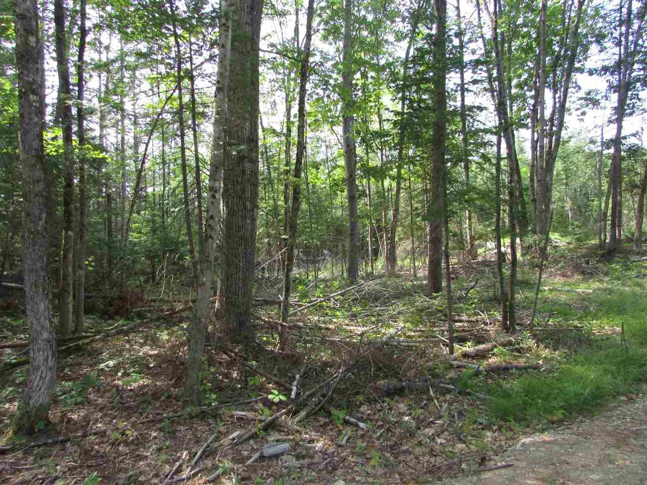 122 Sodom Road Tuftonboro, NH 03816 - Photo 5 of 32 Gallery Image 5