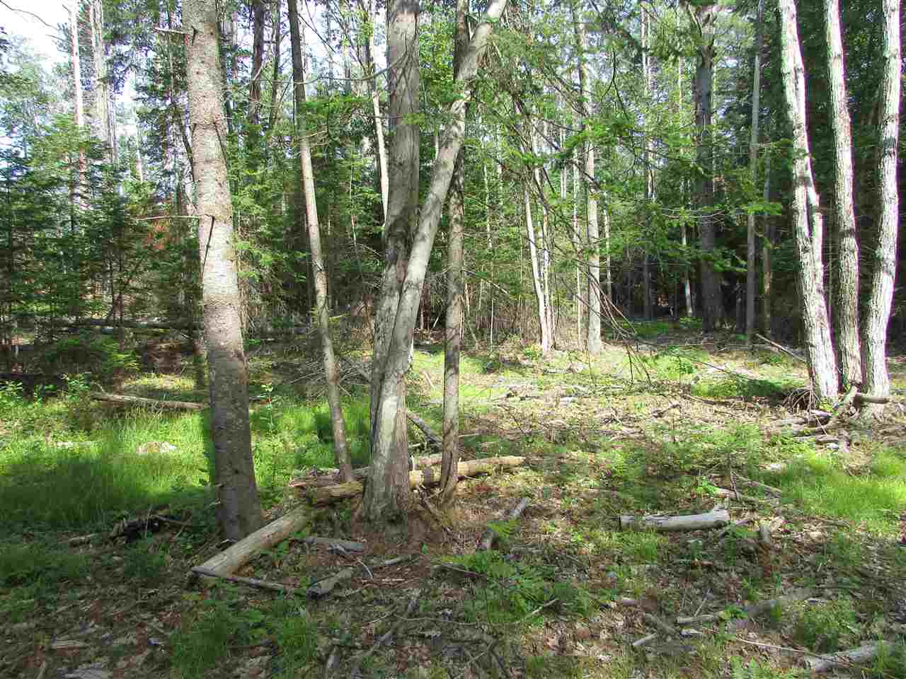 122 Sodom Road Tuftonboro, NH 03816 - Photo 7 of 32 Gallery Image 7