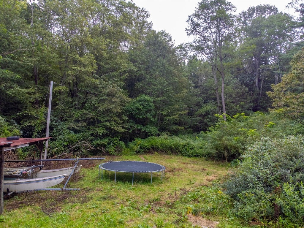 3558 North Norton Road Cullowhee, NC 28723 - Photo 46 of 59 Gallery Image 46