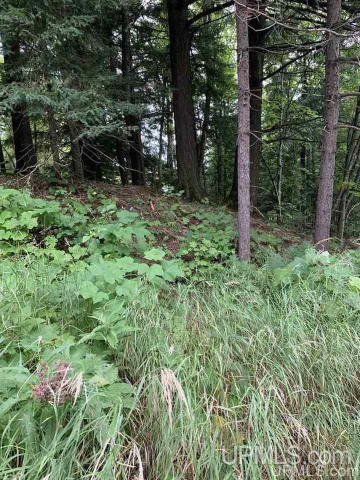 Lot 1 Bayview Road Lanse, MI 49946 - Photo 8 of 27