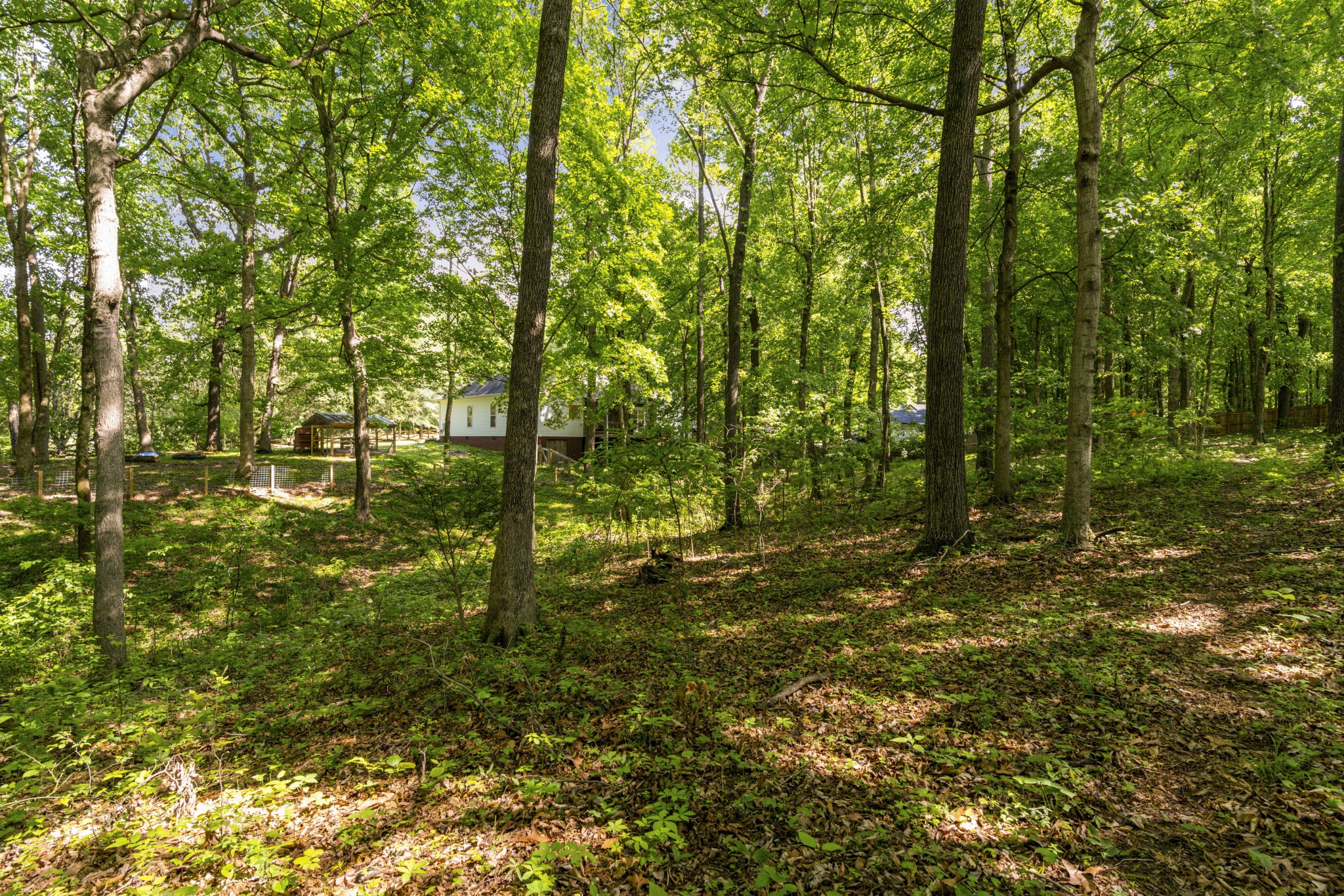 7339 Chowning Road Springfield, TN 37172 - Photo 53 of 57 a view of yard