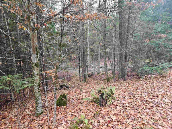 $60,000 | 35 Langway Road, Lyman, NH 03585