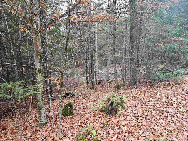 $60,000 | 35 Langway Road, Lyman, NH 03585