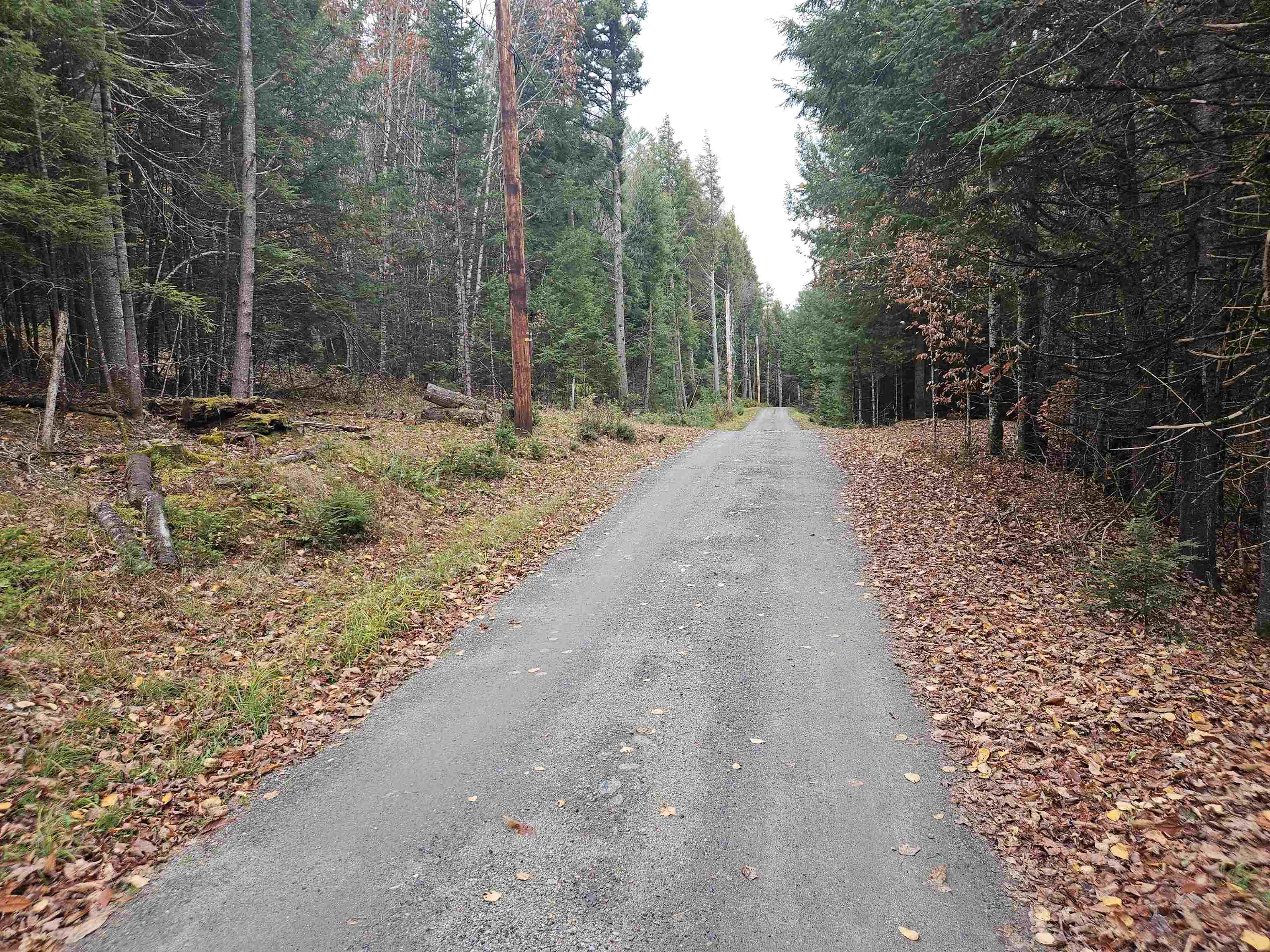 35 Langway Road Lyman, NH 03585 - Photo 4 of 6