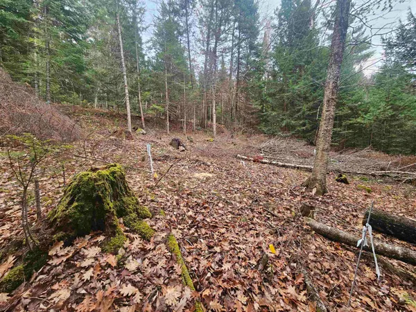 $60,000 | 35 Langway Road, Lyman, NH 03585