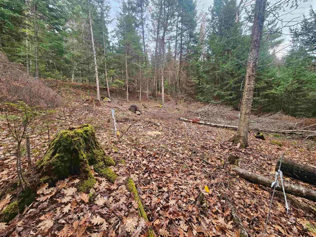 $60,000 | 35 Langway Road, Lyman, NH 03585