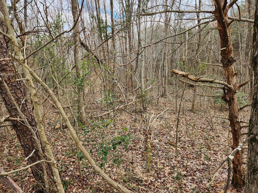 867 Carter Road, Unit 2 Cumberland, VA 23040 - Photo 49 of 57 Gallery Image 49