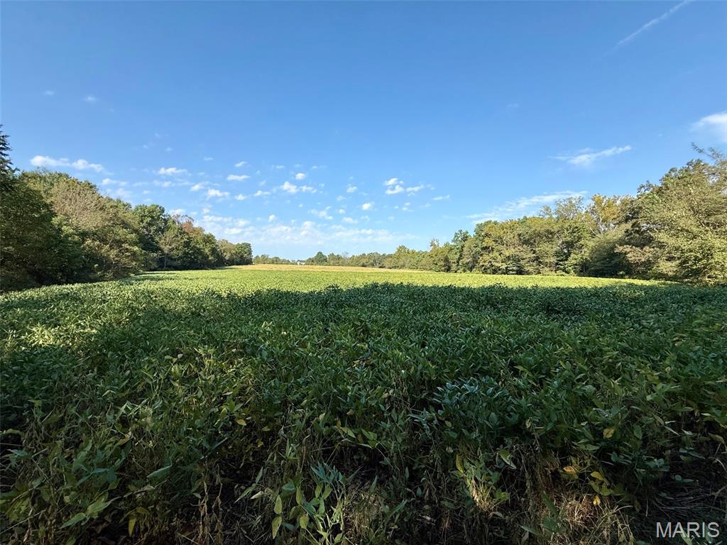 5324 McCallister Road Gerald, MO 63037 - Photo 65 of 67 Gallery Image 65