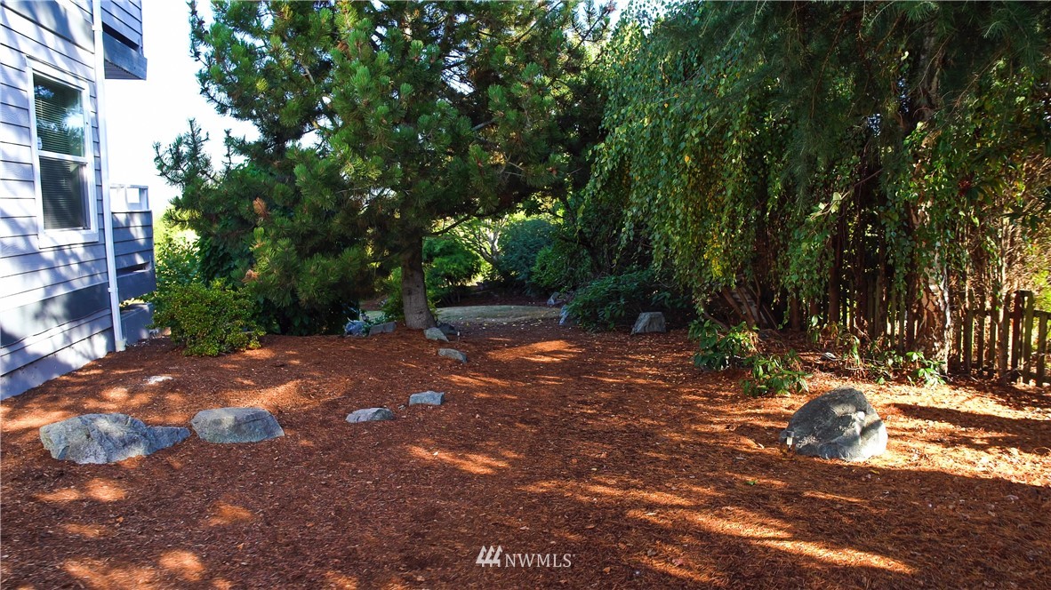 3733 Waller Road East, Unit 301 Tacoma, WA 98443 - Photo 17 of 17 a view of backyard with green space