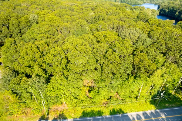 a view of a big yard with plants and wooden fence