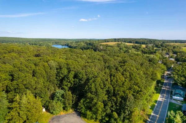 a view of a field with an ocean