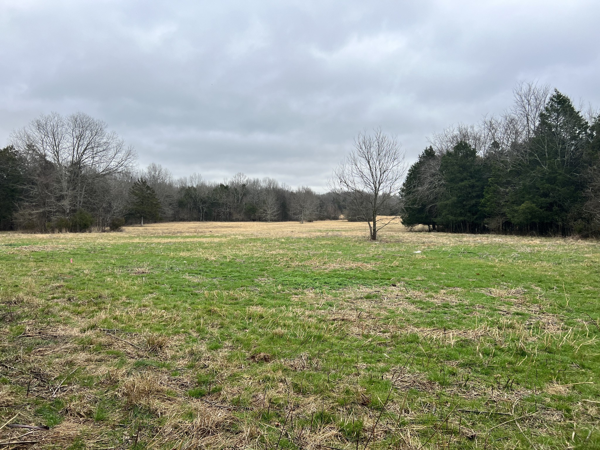 0 Word Road Lewisburg, TN 37091 - Photo 13 of 19 a view of outdoor space with garden and trees