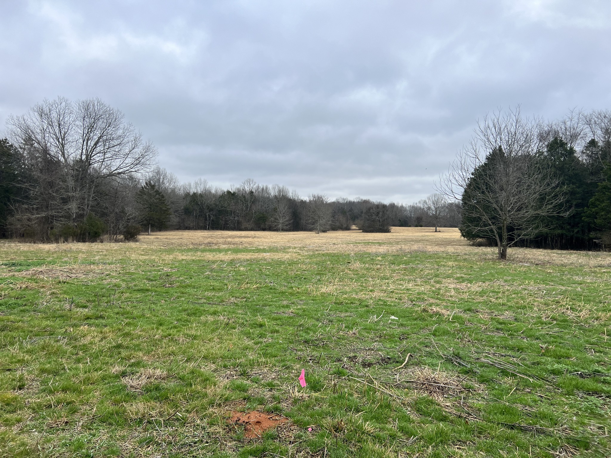 0 Word Road Lewisburg, TN 37091 - Photo 14 of 19 a view of a field with an ocean