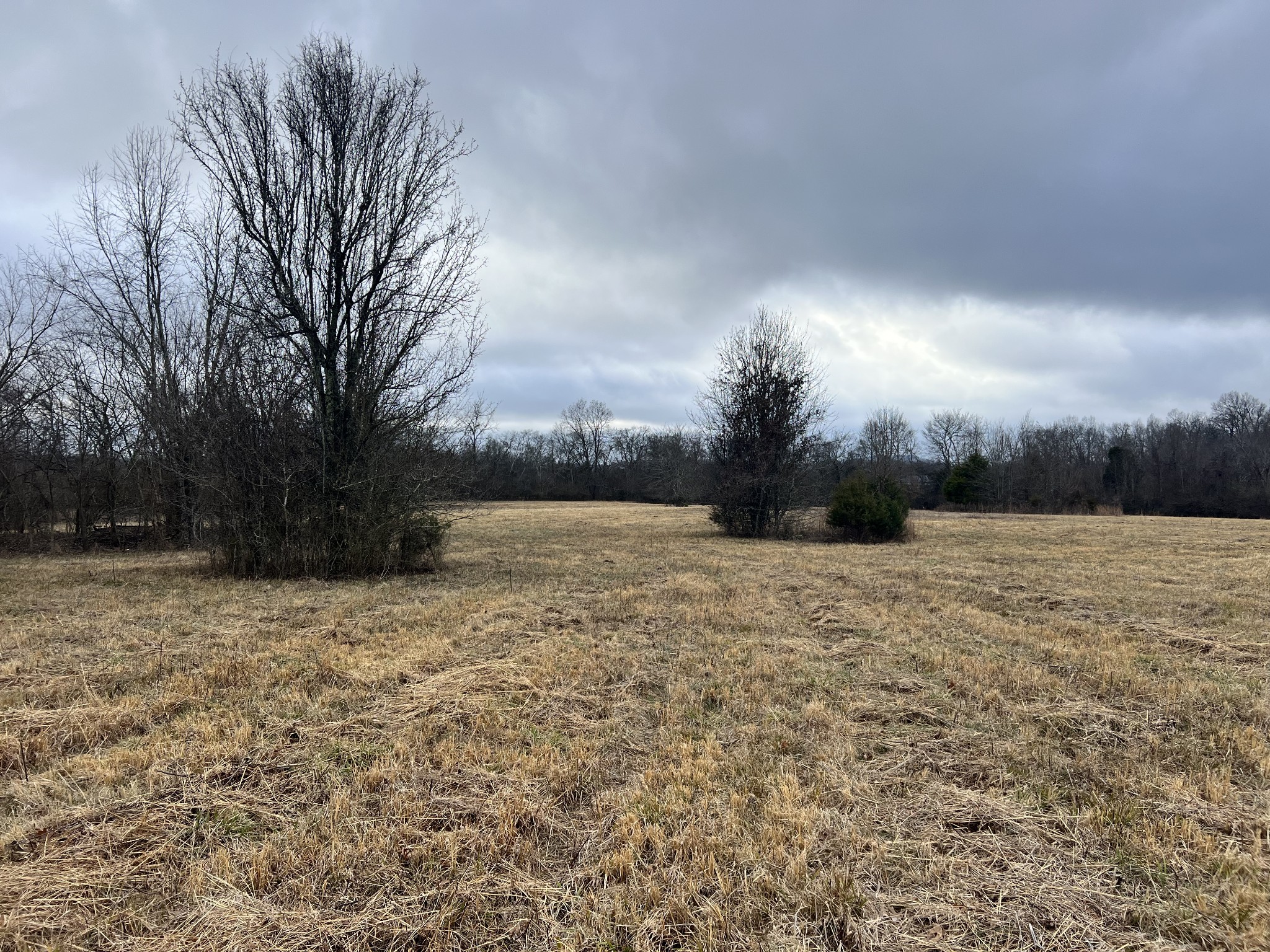 0 Word Road Lewisburg, TN 37091 - Photo 17 of 19 a view of patio and yard