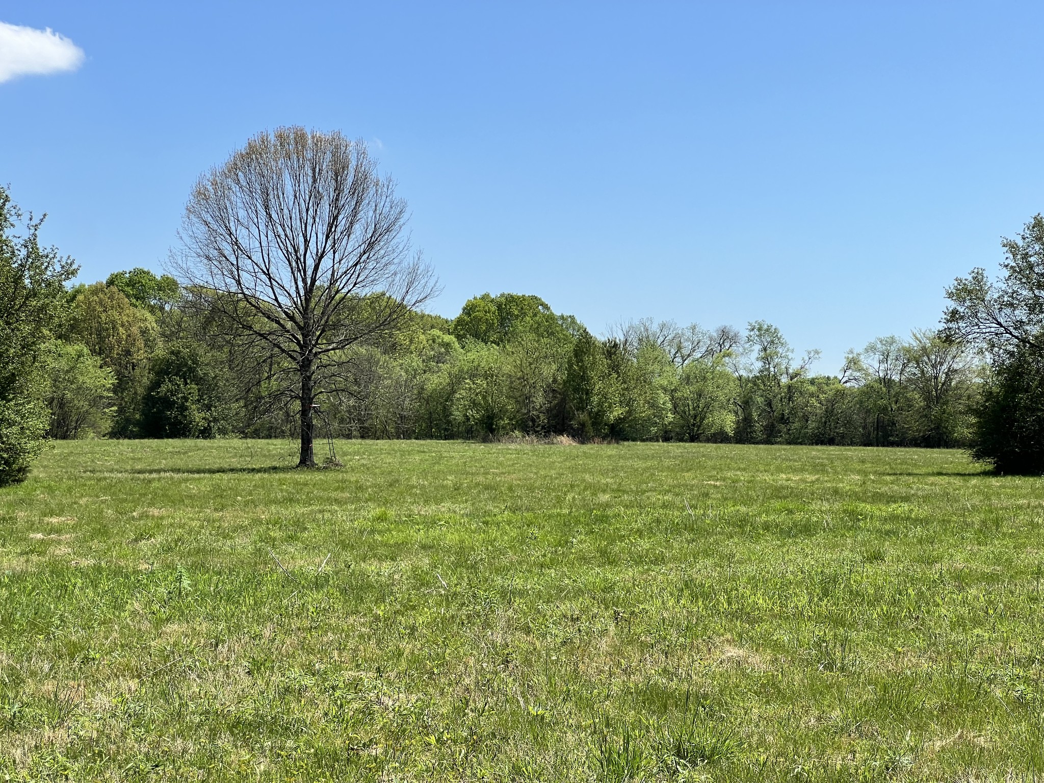0 Word Road Lewisburg, TN 37091 - Photo 2 of 19 a view of an outdoor space and a yard