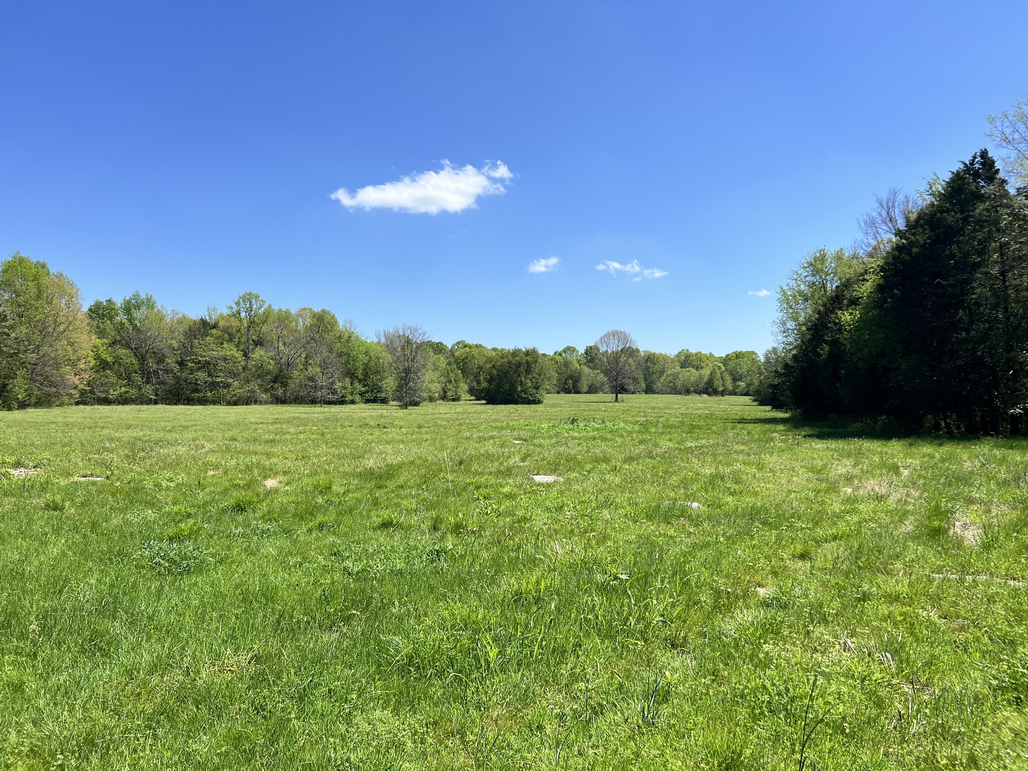 0 Word Road Lewisburg, TN 37091 - Photo 3 of 19 a view of a big yard with a large tree
