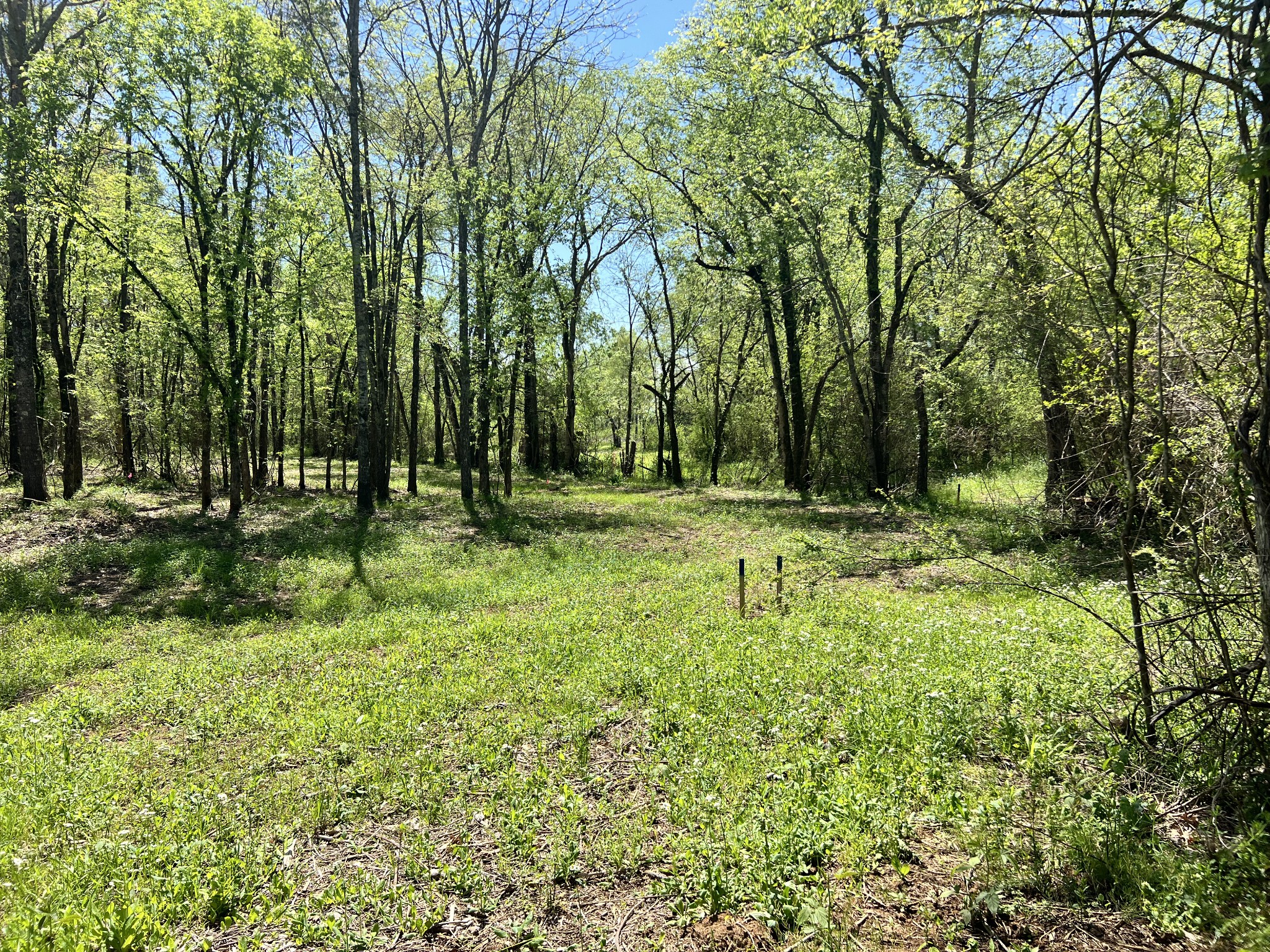 0 Word Road Lewisburg, TN 37091 - Photo 6 of 19 a backyard of a house with lots of green space and fountain