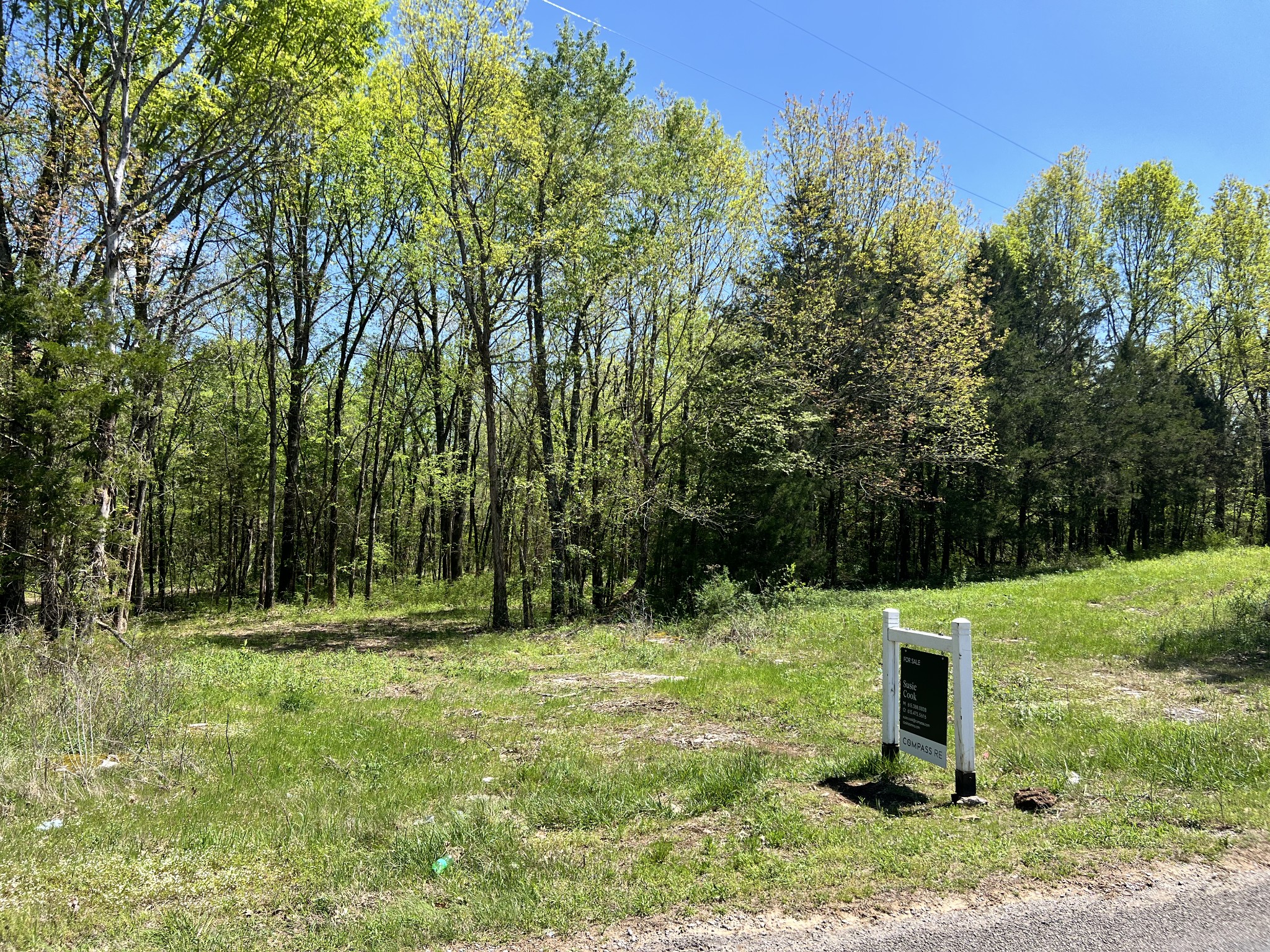 0 Word Road Lewisburg, TN 37091 - Photo 10 of 19 a backyard of a house with lots of green space