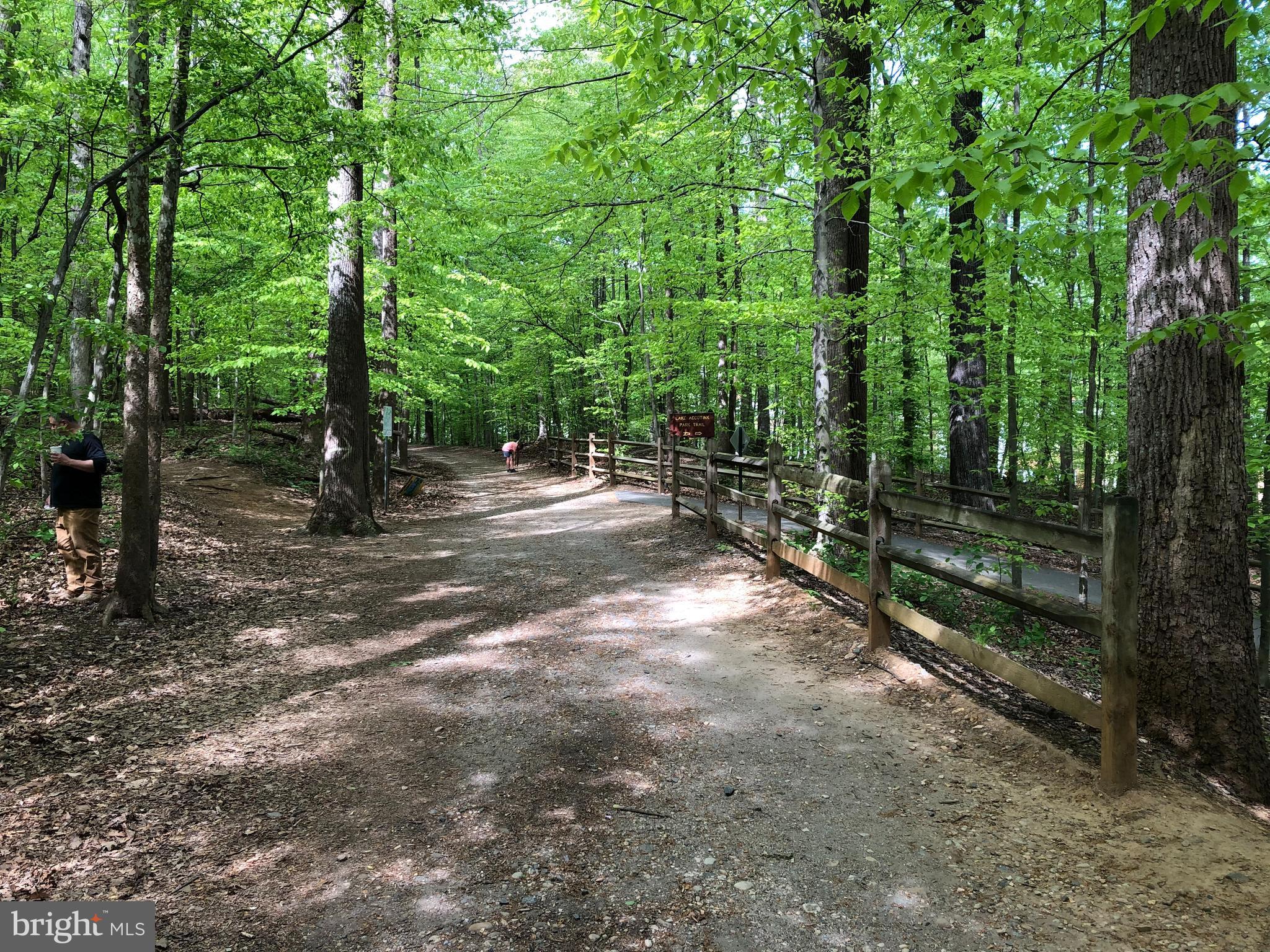 5262 Lonsdale Drive Springfield, VA 22151 - Photo 13 of 44 Lake Accotink Loop Trail behind home