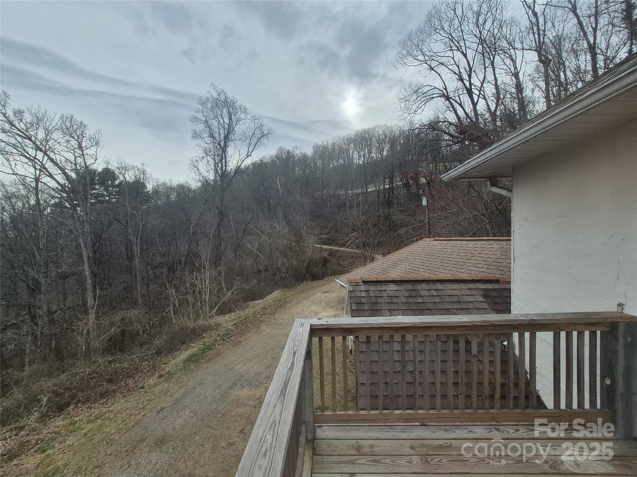 318 Vance Gap Road Asheville, NC 28804 - Photo 6 of 21