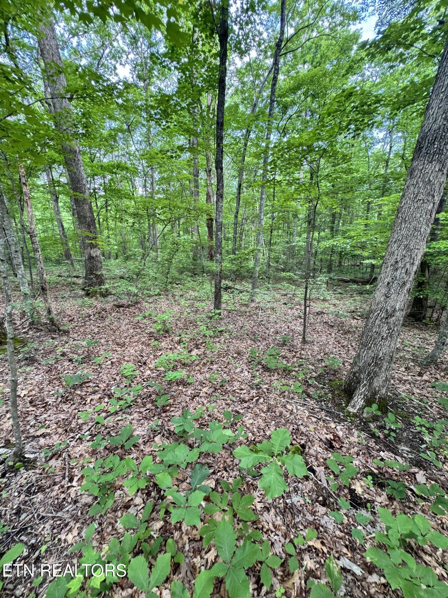 Sunset Lane, Unit 5 Seymour, TN 37865 - Photo 1 of 10 IMG_4927